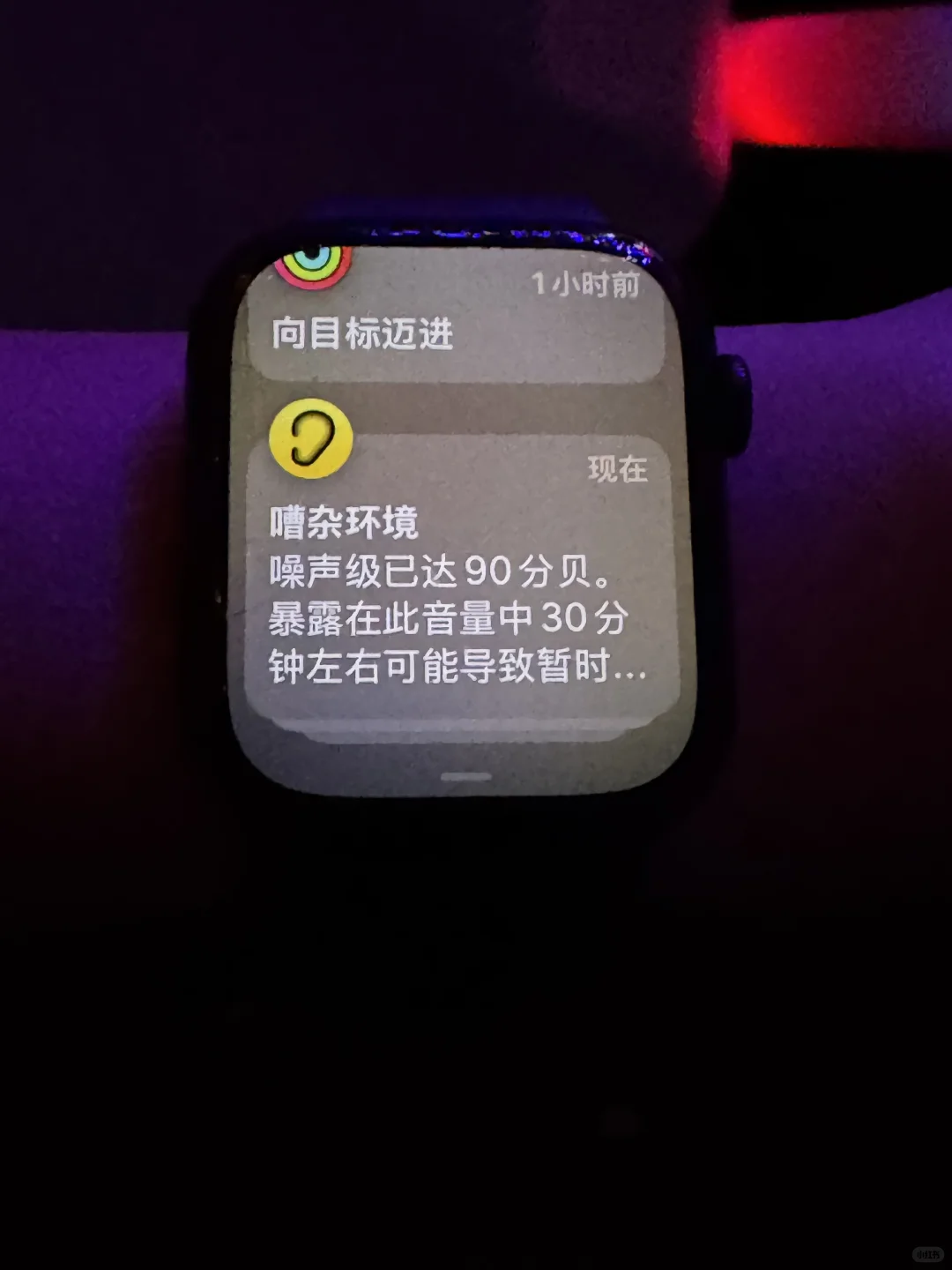 偶已看到最娇艳的玫瑰🌹