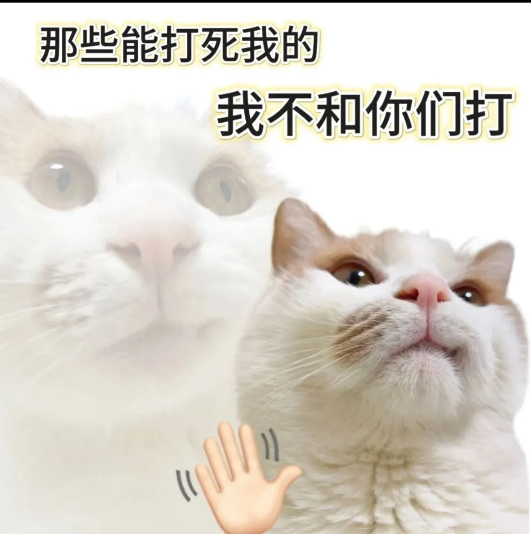 中不中