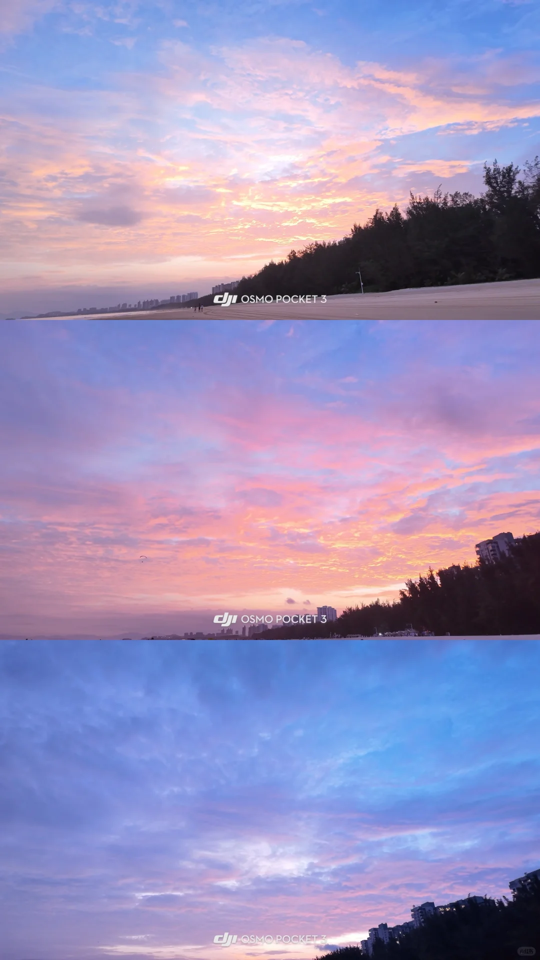 聆听海的心跳 ˖°𓇼🌊⋆🐚