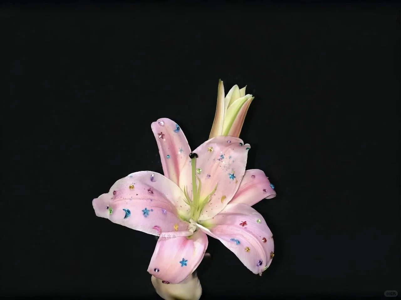 iPad/手机壁纸|iOS26裸眼3D系列