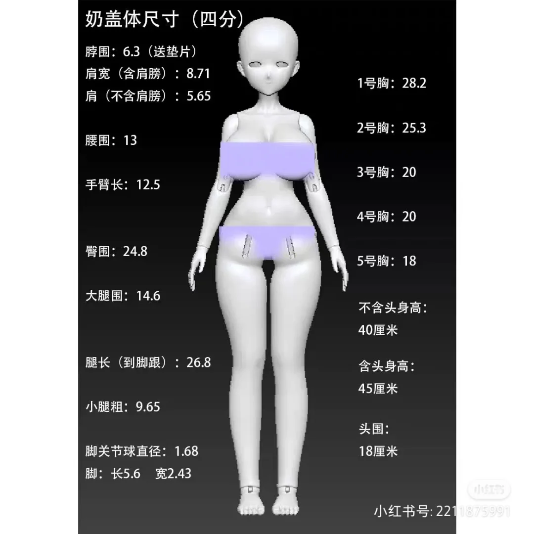 请问预算150左右能定做类似大🐻胸衣吗？