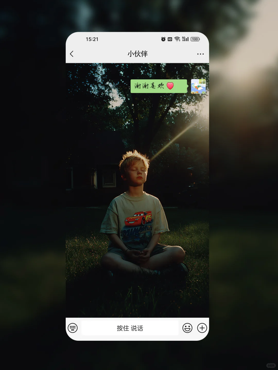 闪电麦昆清晨的冥想🌞🌿113