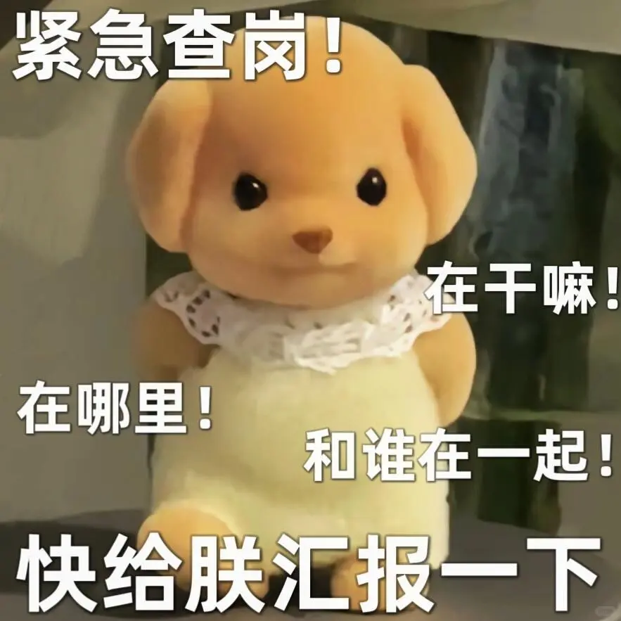 宝宝，这么老实巴交的可爱小狗，难道你不爱