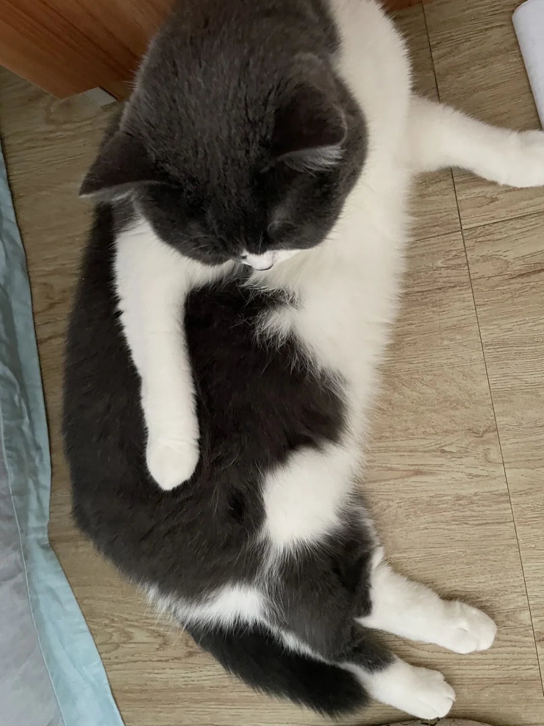 闺女太妖娆了 该不该管