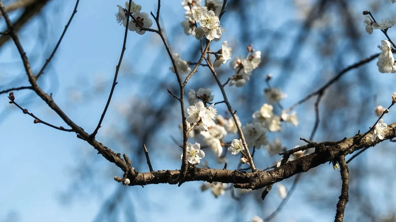 iPad/手机壁纸|iOS26裸眼3D系列