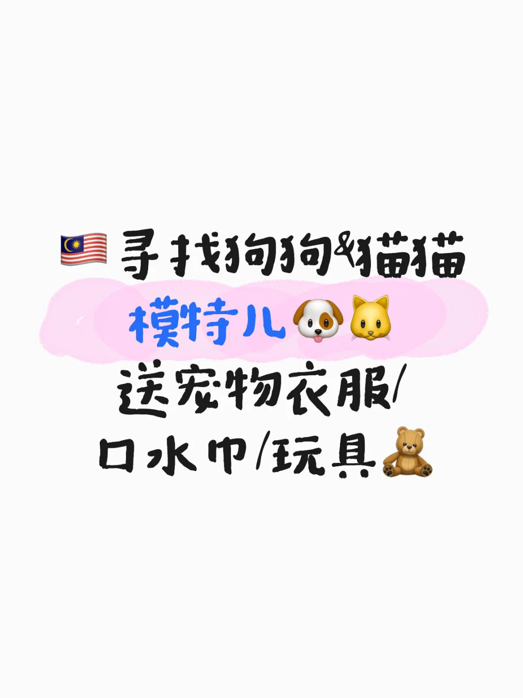 🇲🇾寻找狗狗&猫猫模特儿🐶🐱