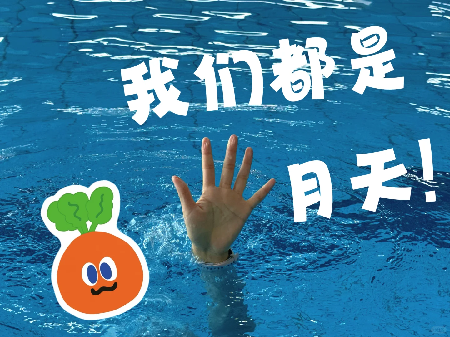 游泳人专属表情包来了，快收藏拍起来！
