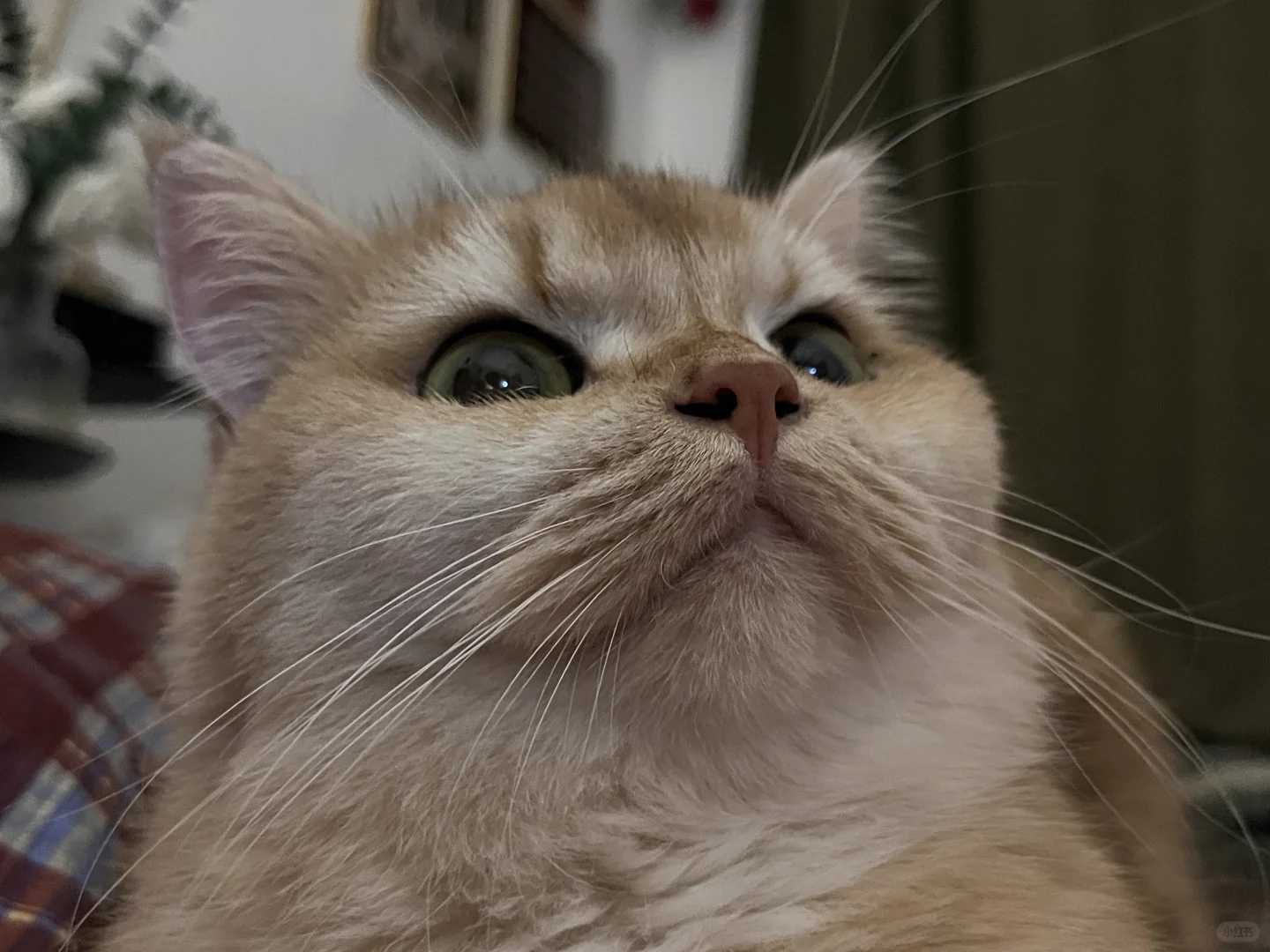 我们女孩子就是这样迷人