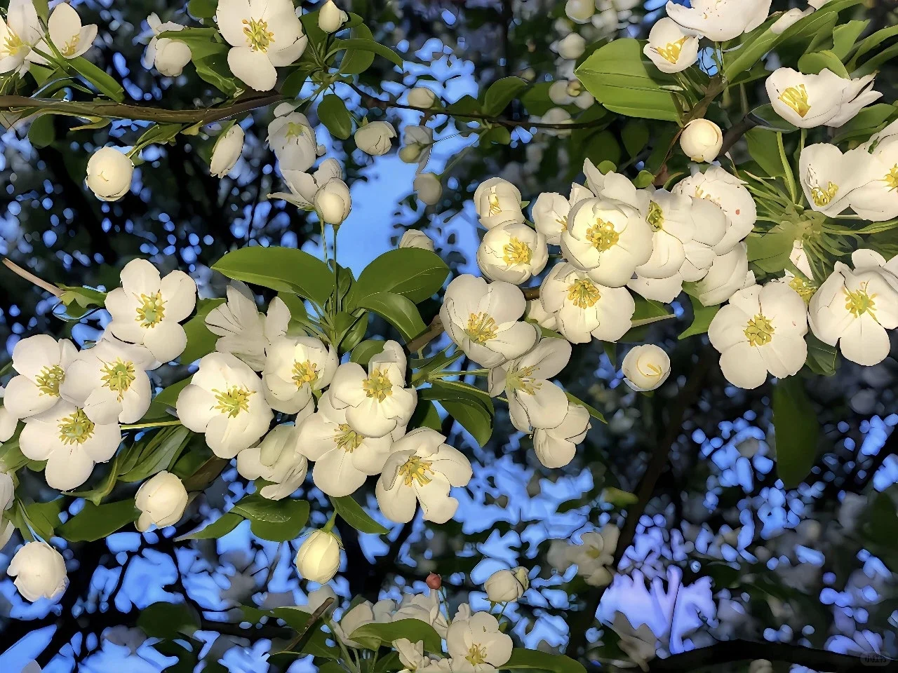 iPad/手机壁纸|iOS26裸眼3D系列