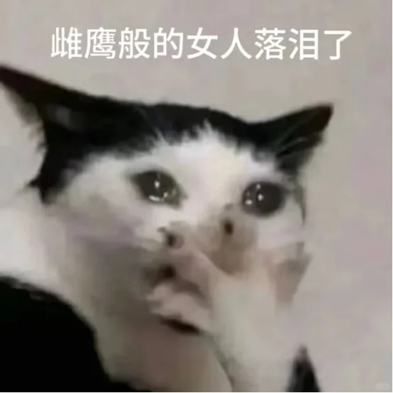 蚌埠住了,别买盗版的温岚之