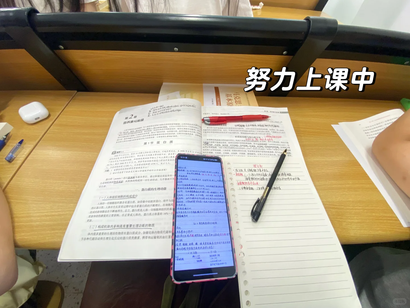 ✨欢迎收看女大学生/治愈日常PLOG