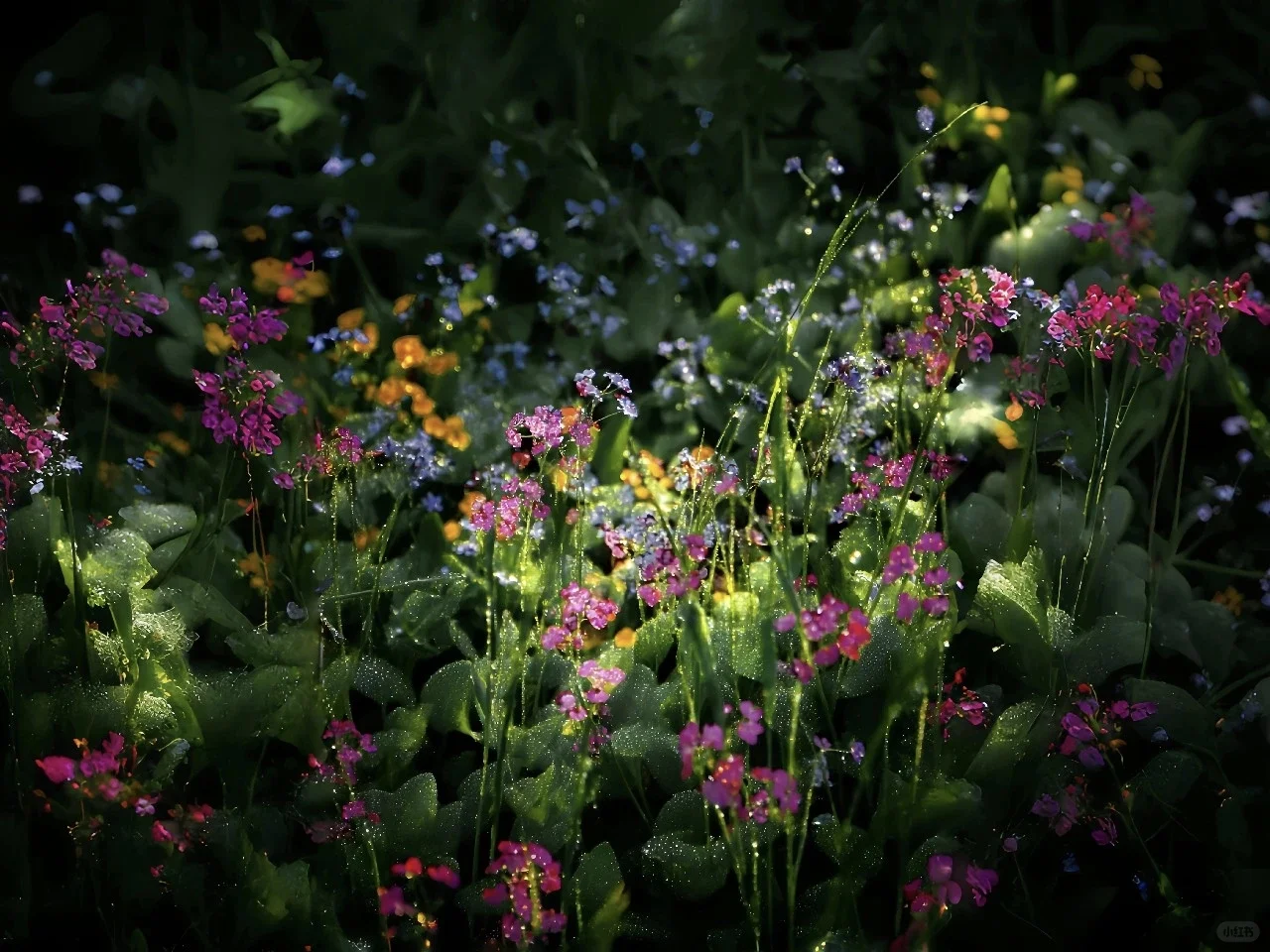 iPad/手机壁纸|iOS26裸眼3D系列