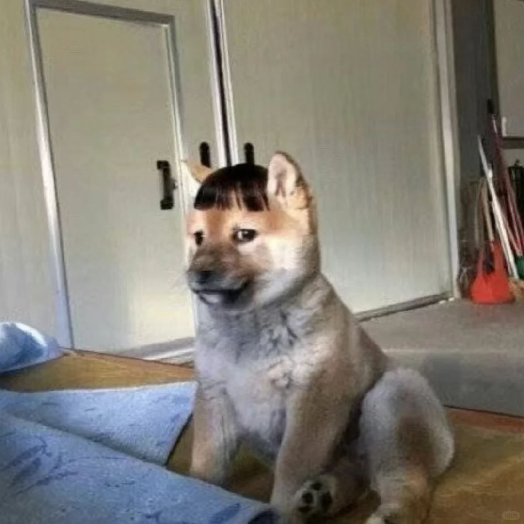 看一眼都觉得无语的表情包