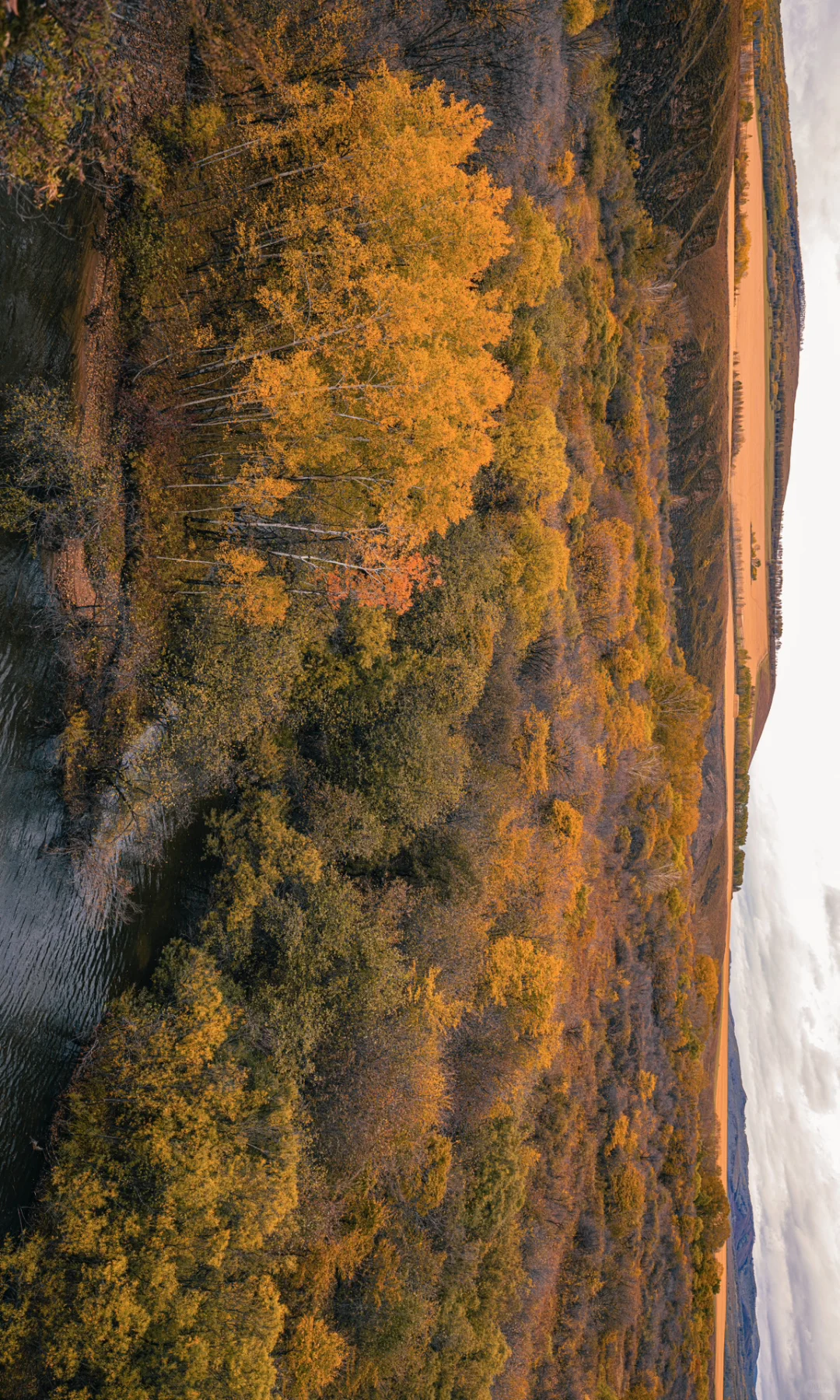 秋天是呼伦贝尔封神的季节