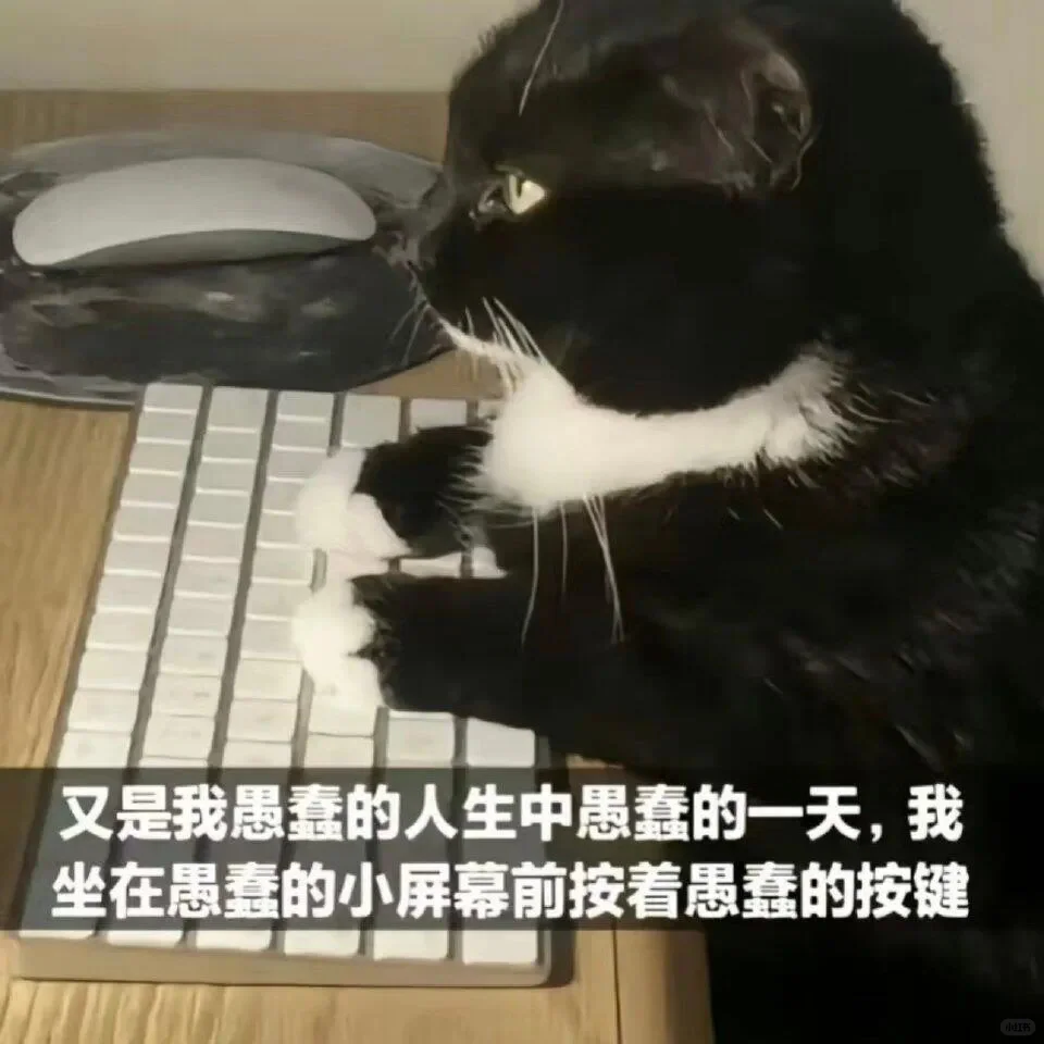 脏话小猫