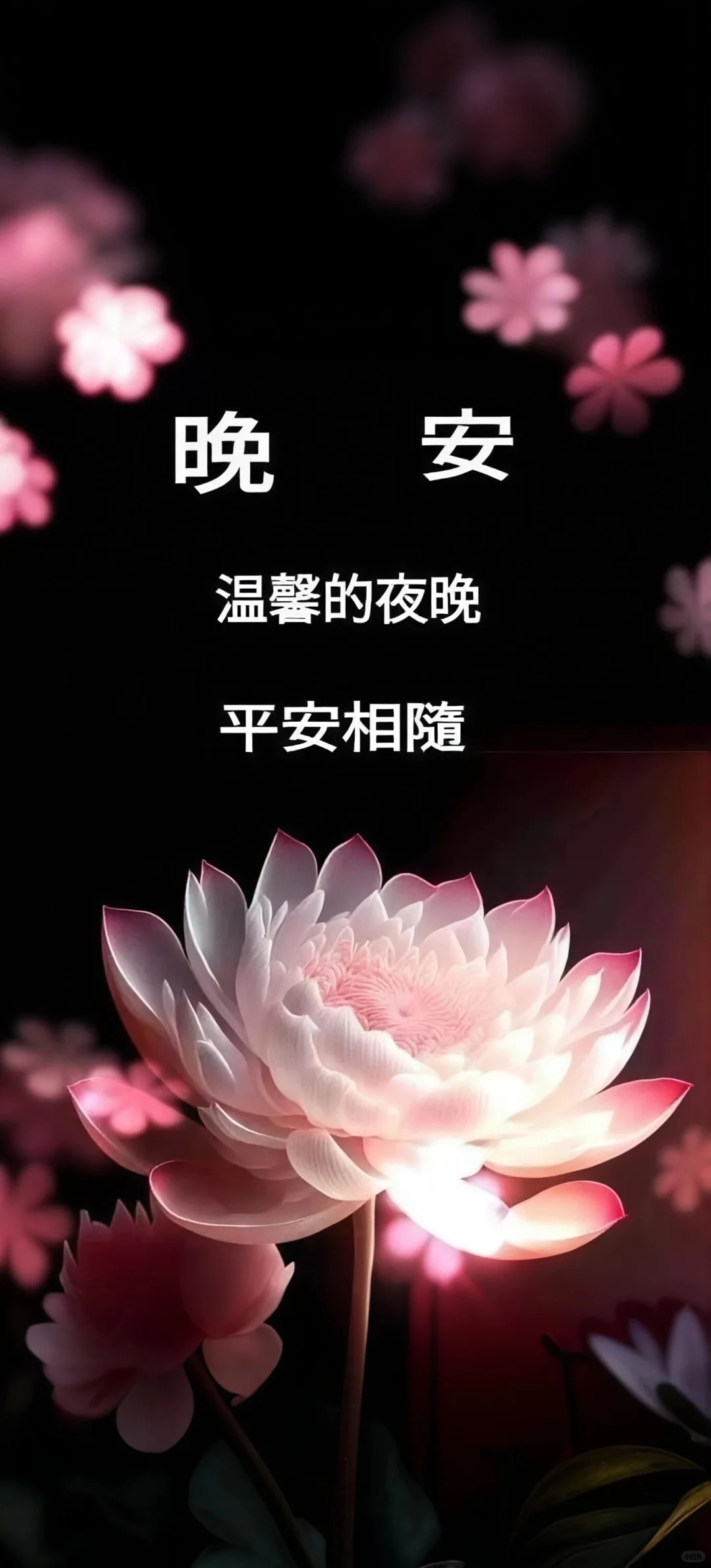 一个女人什么时候最迷人?