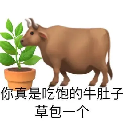一波适合聊天的表情包分享8.31
