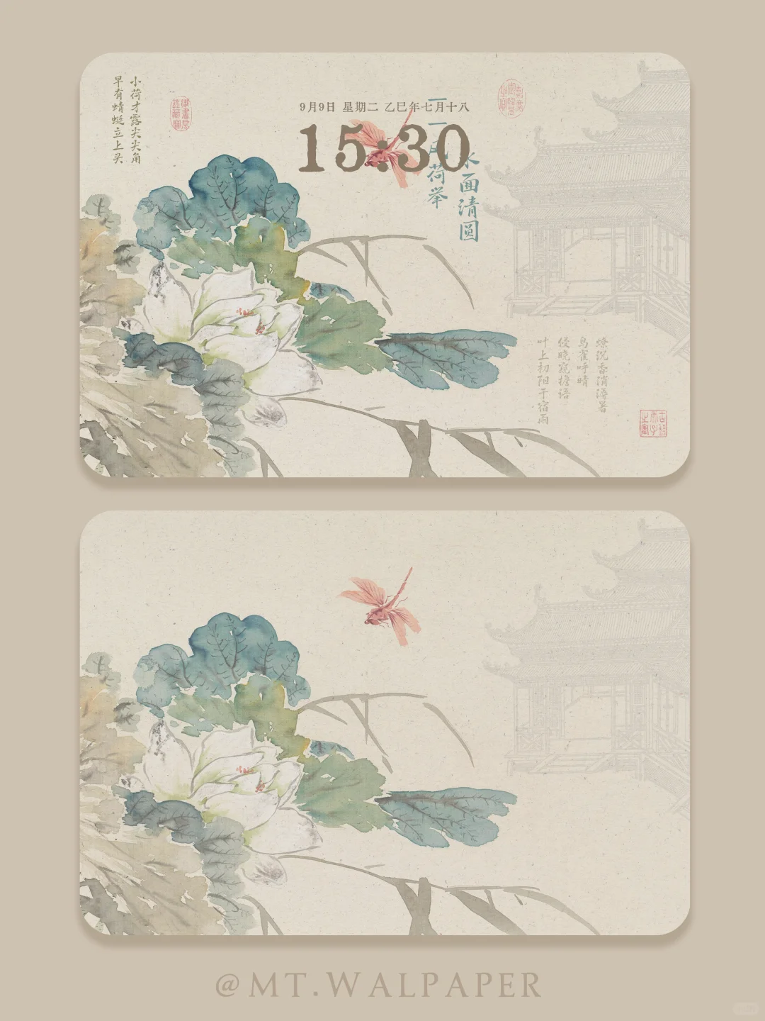 水面清圆 一一风荷举｜平板壁纸