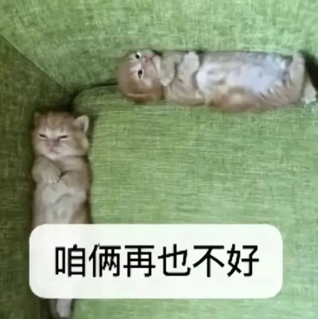 低脂小奶猫表情包