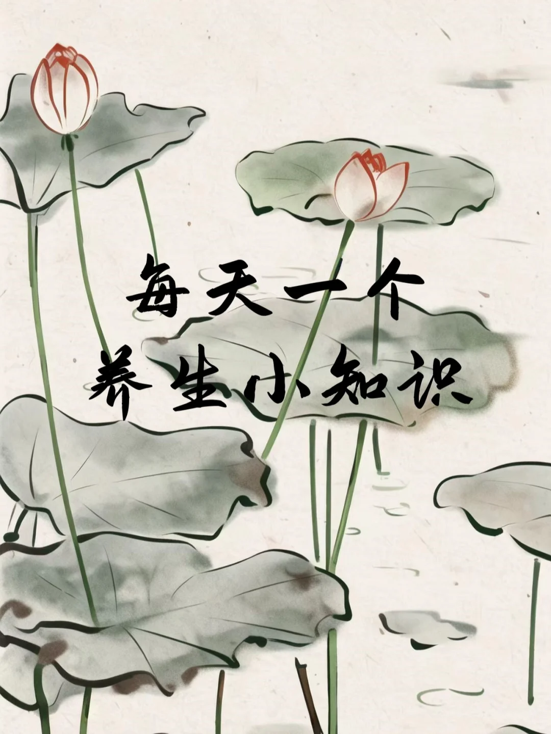 🌿每天一个养生小知识📚丨女生气血不足