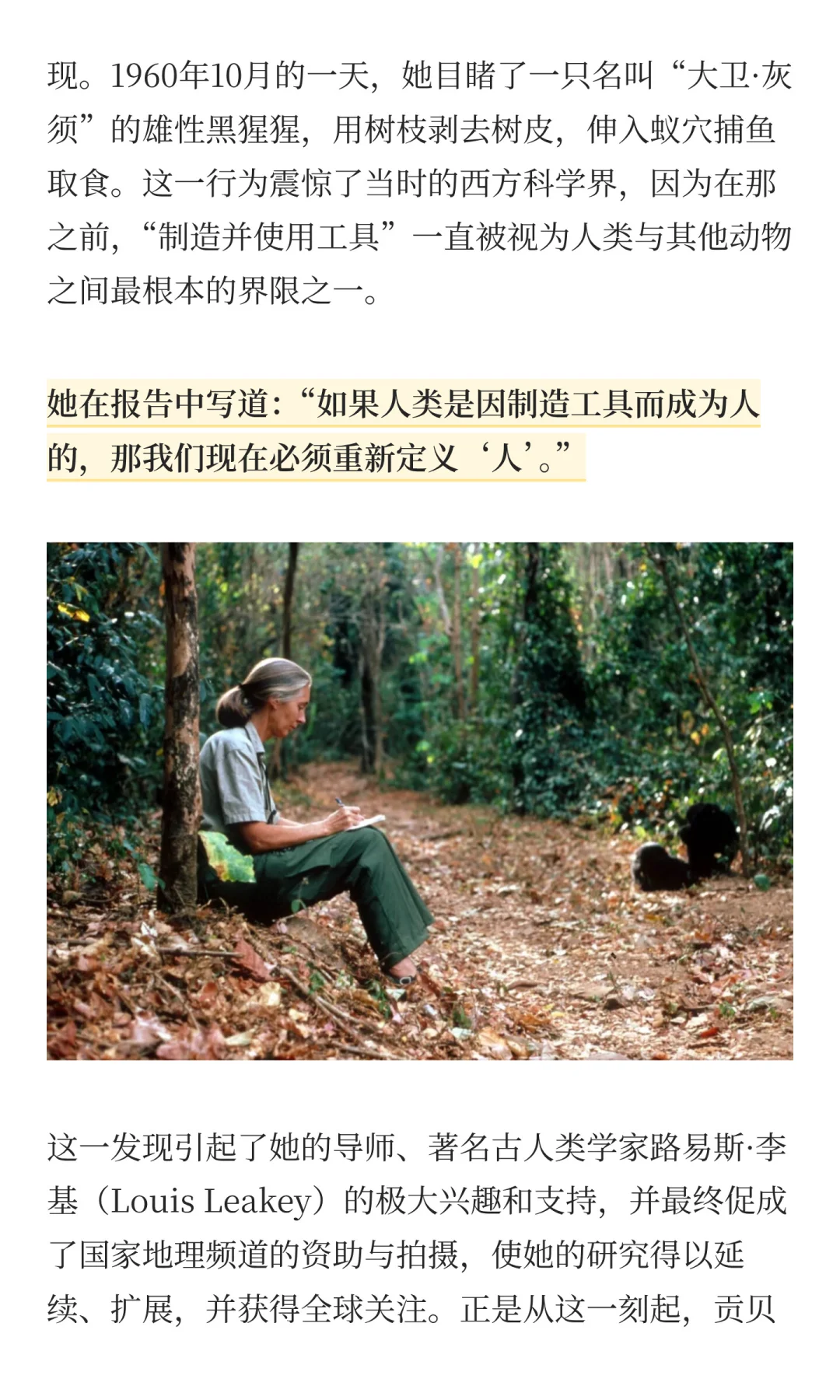 纪念珍·古道尔🌍