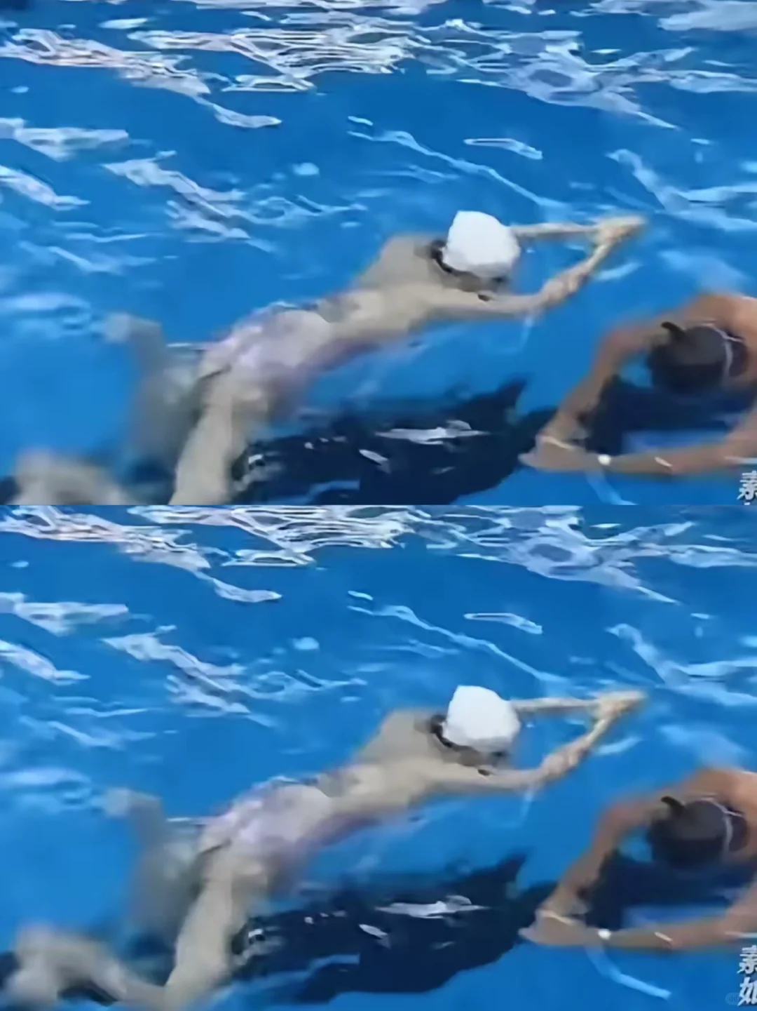 吵翻了!女子在游泳池遭咸猪手