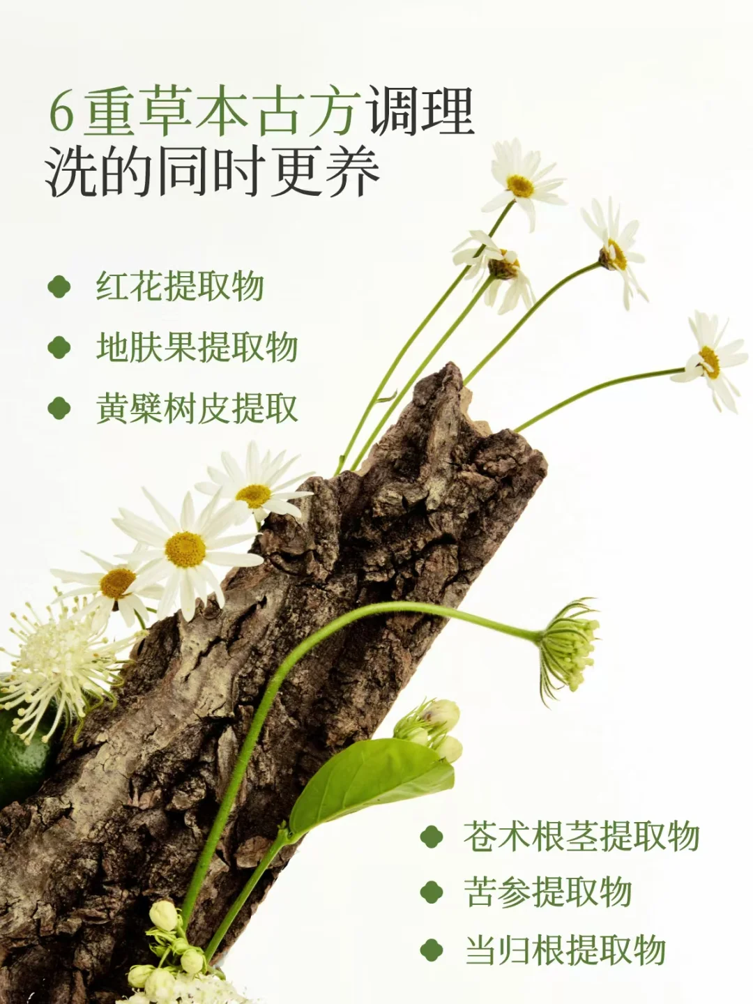 温和的形状|如果温和有形状,你会如何描绘