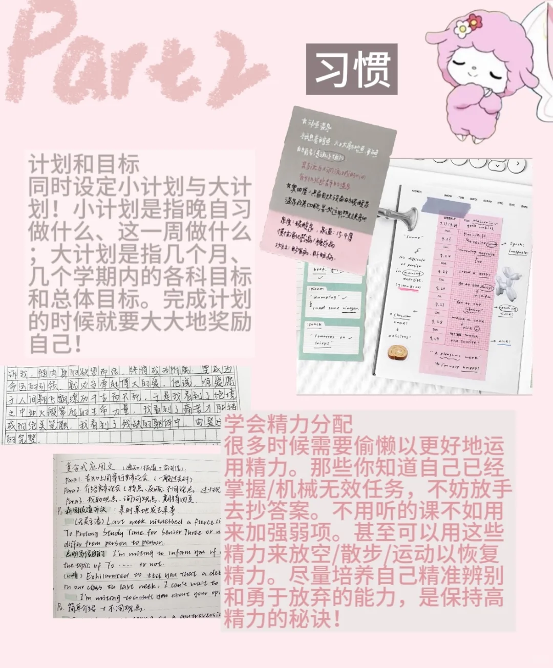 985在读|好成绩&高精力养成技巧