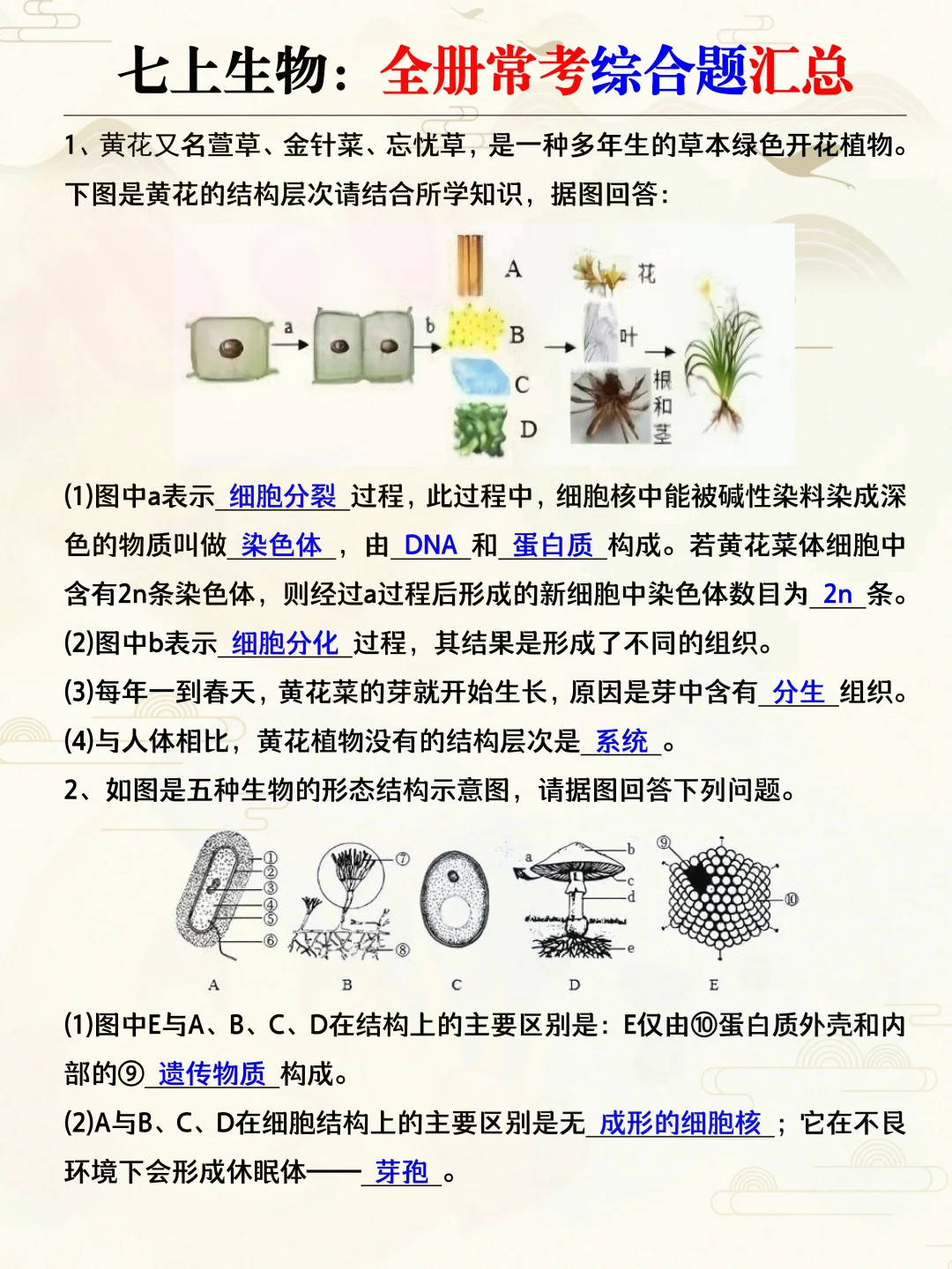 陪读过来人建议：不要毁了孩子的初一！