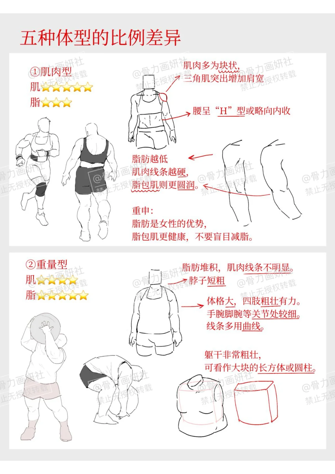 不同体型的女角色怎么画?