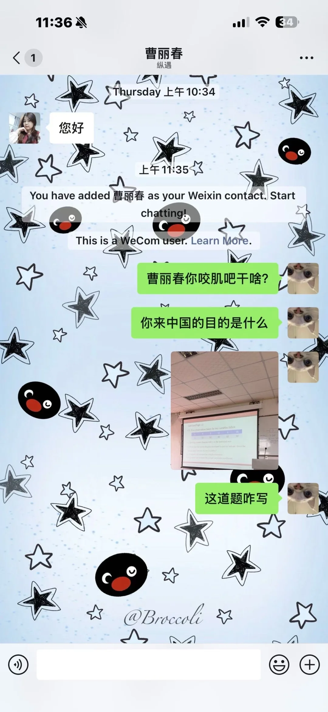 把我惹毛了就这样