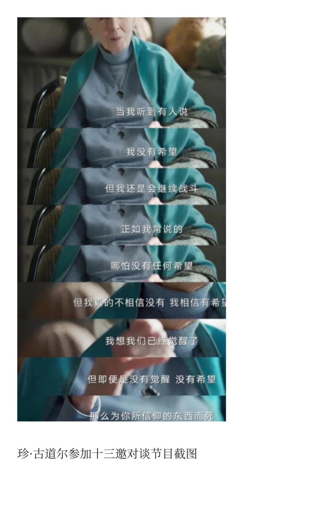 纪念珍·古道尔🌍
