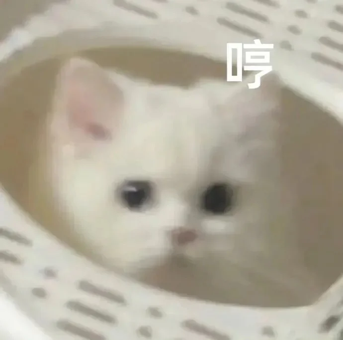 聊天总能用得上（🚢❤️表情包）