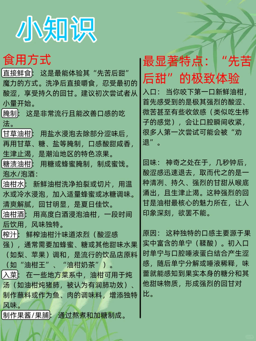 每日新知识--油柑