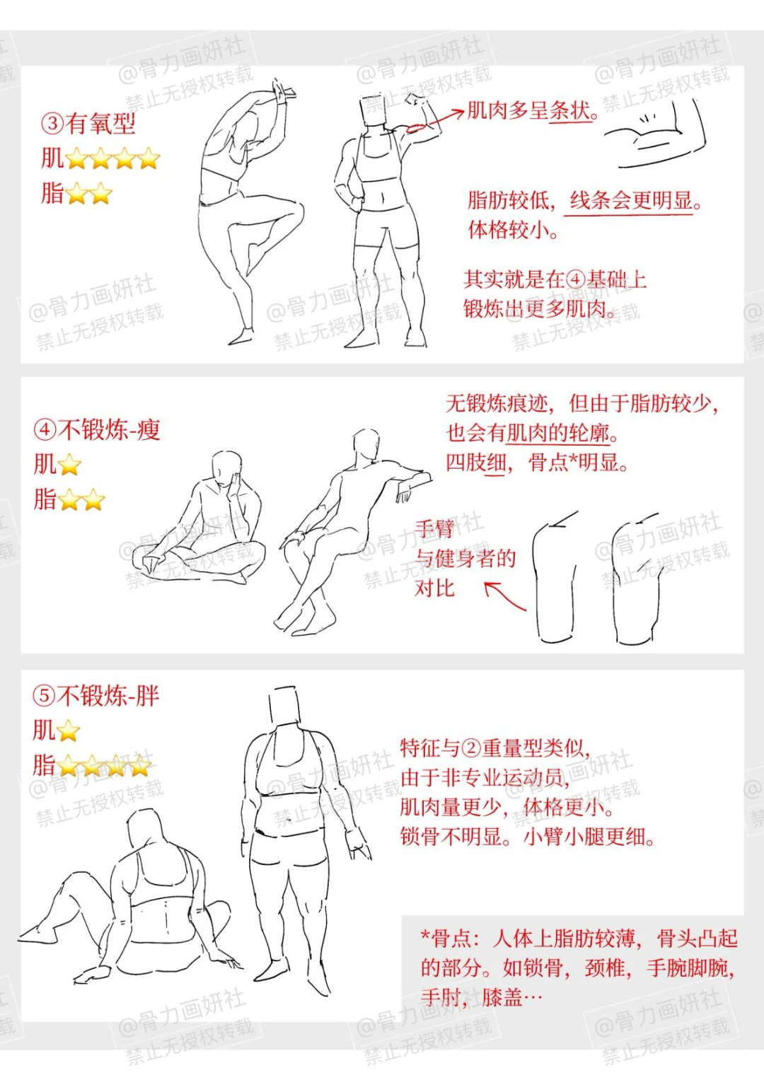 不同体型的女角色怎么画?