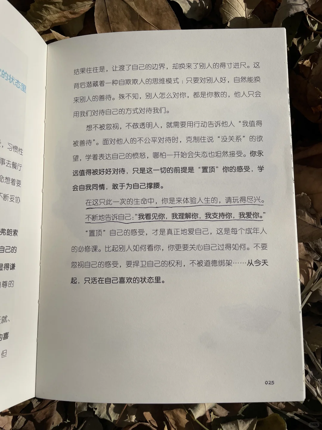 我对自己有办法：给年轻人的自爱行动指南