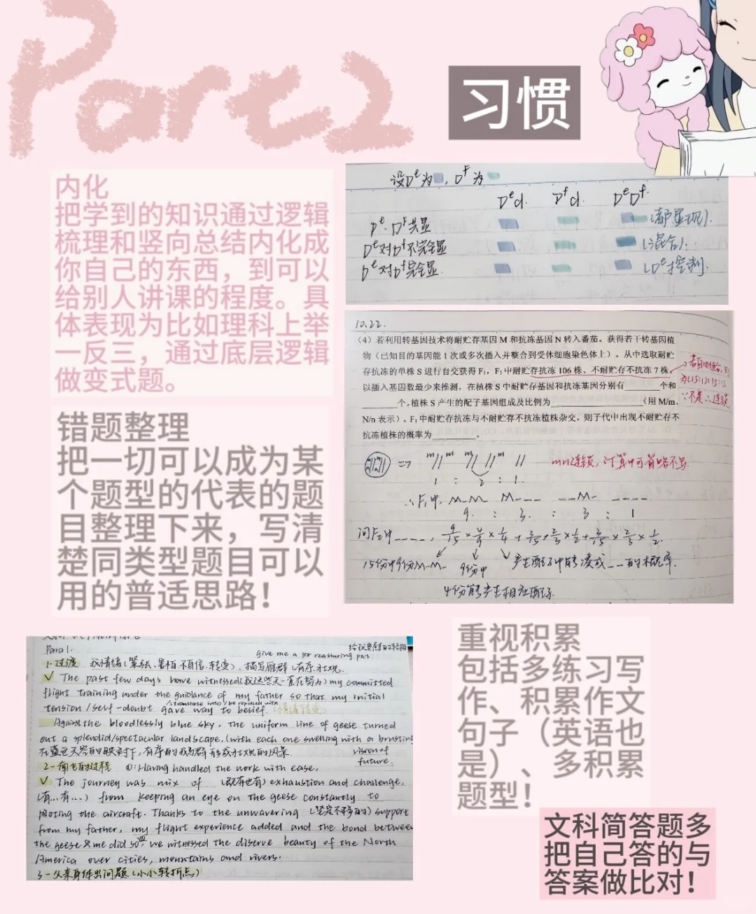 985在读|好成绩&高精力养成技巧