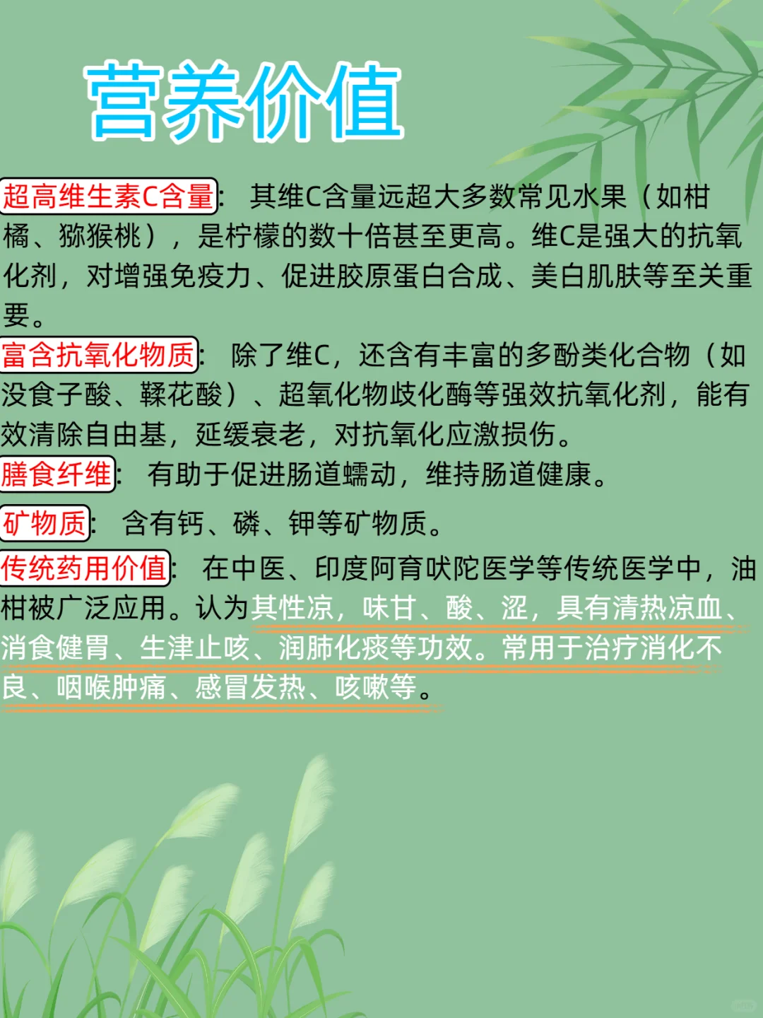 每日新知识--油柑