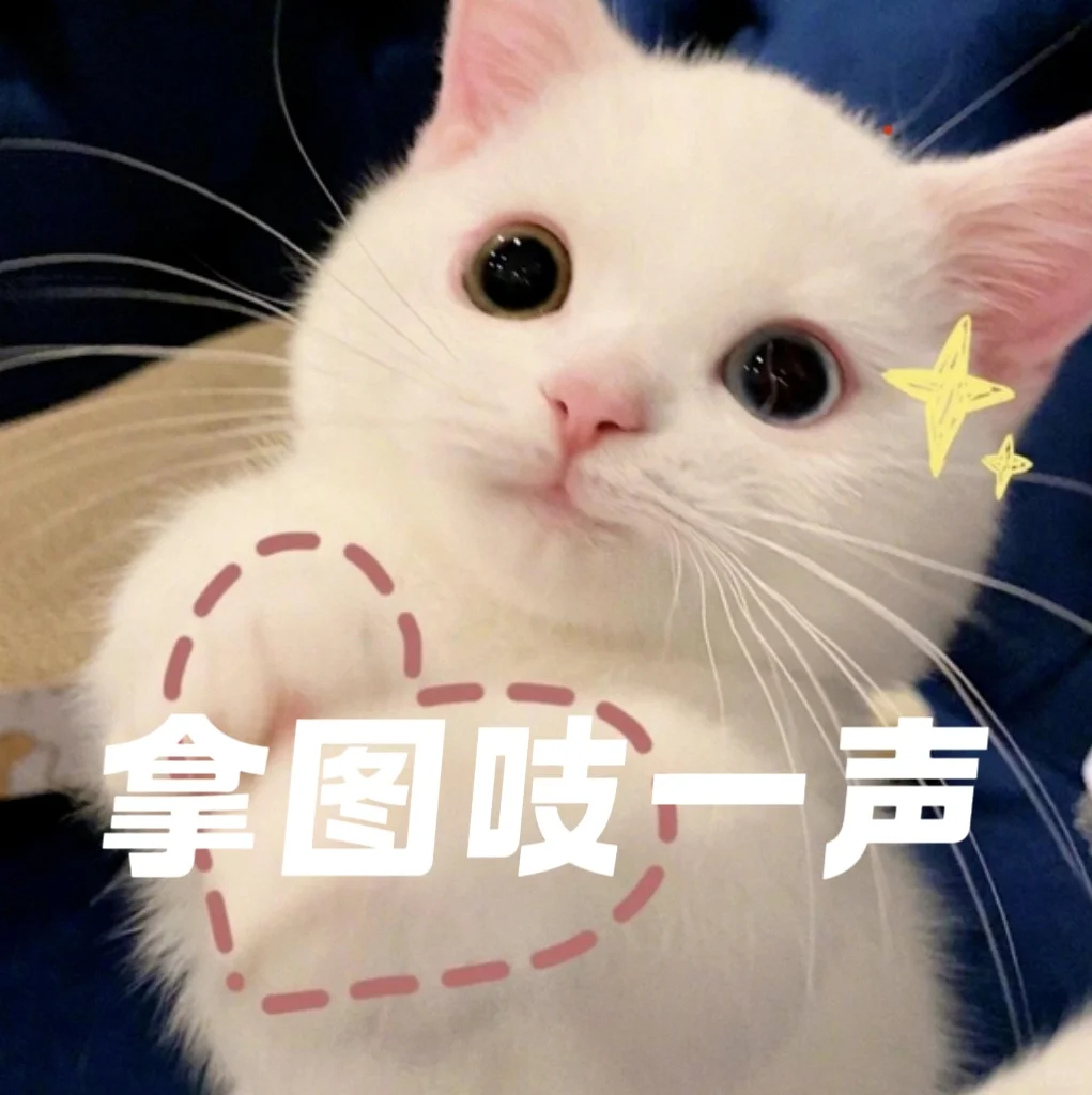 ②当叶罗丽角色丨穿泳装（15张）