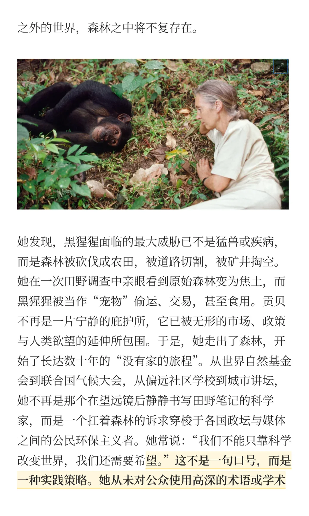 纪念珍·古道尔🌍