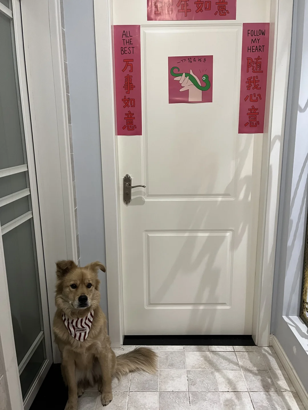 要开心，要美丽🎂