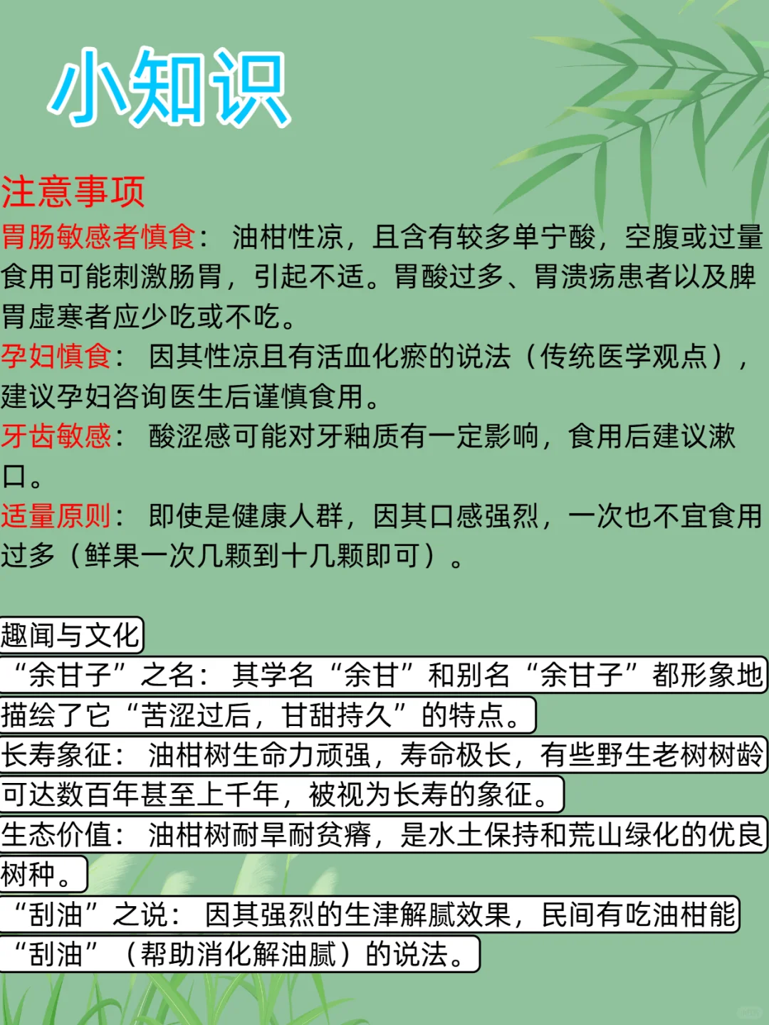 每日新知识--油柑