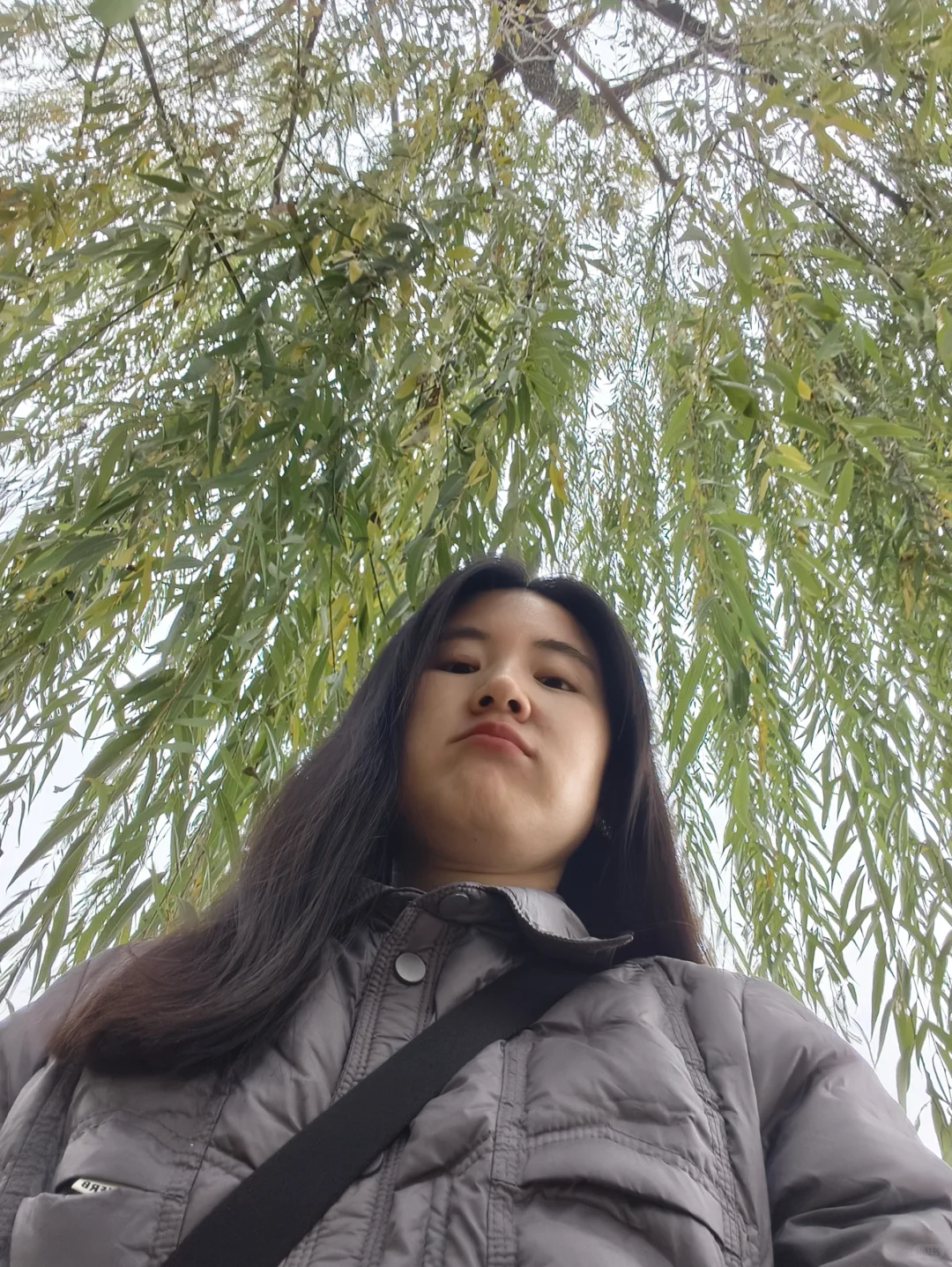 38岁记录|动了吗动了吗