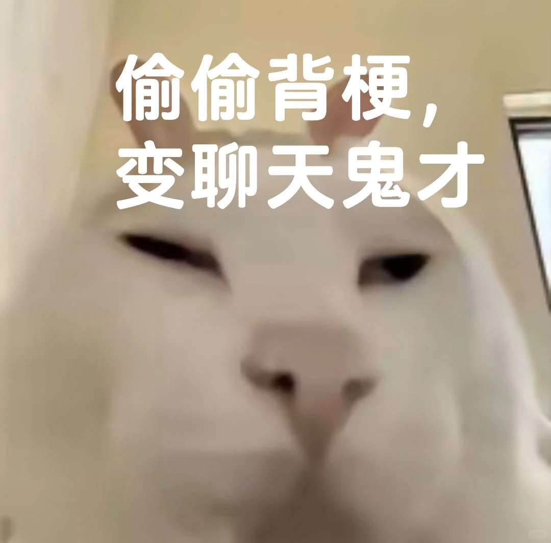 偷偷背梗变聊天👻才