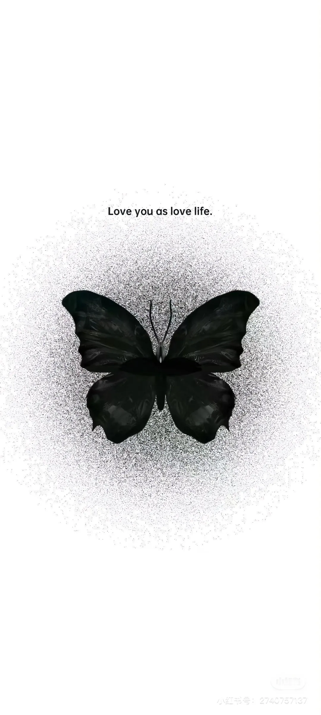 Date25/09/16 | 小众壁纸