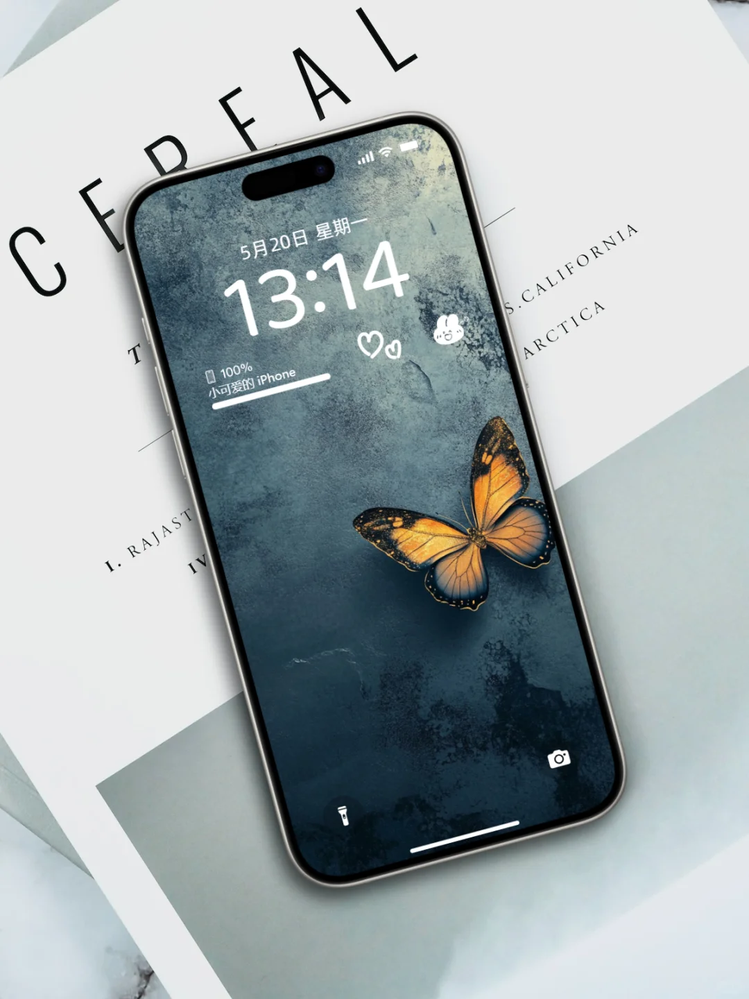 078壁纸 | 蝴蝶轻舞