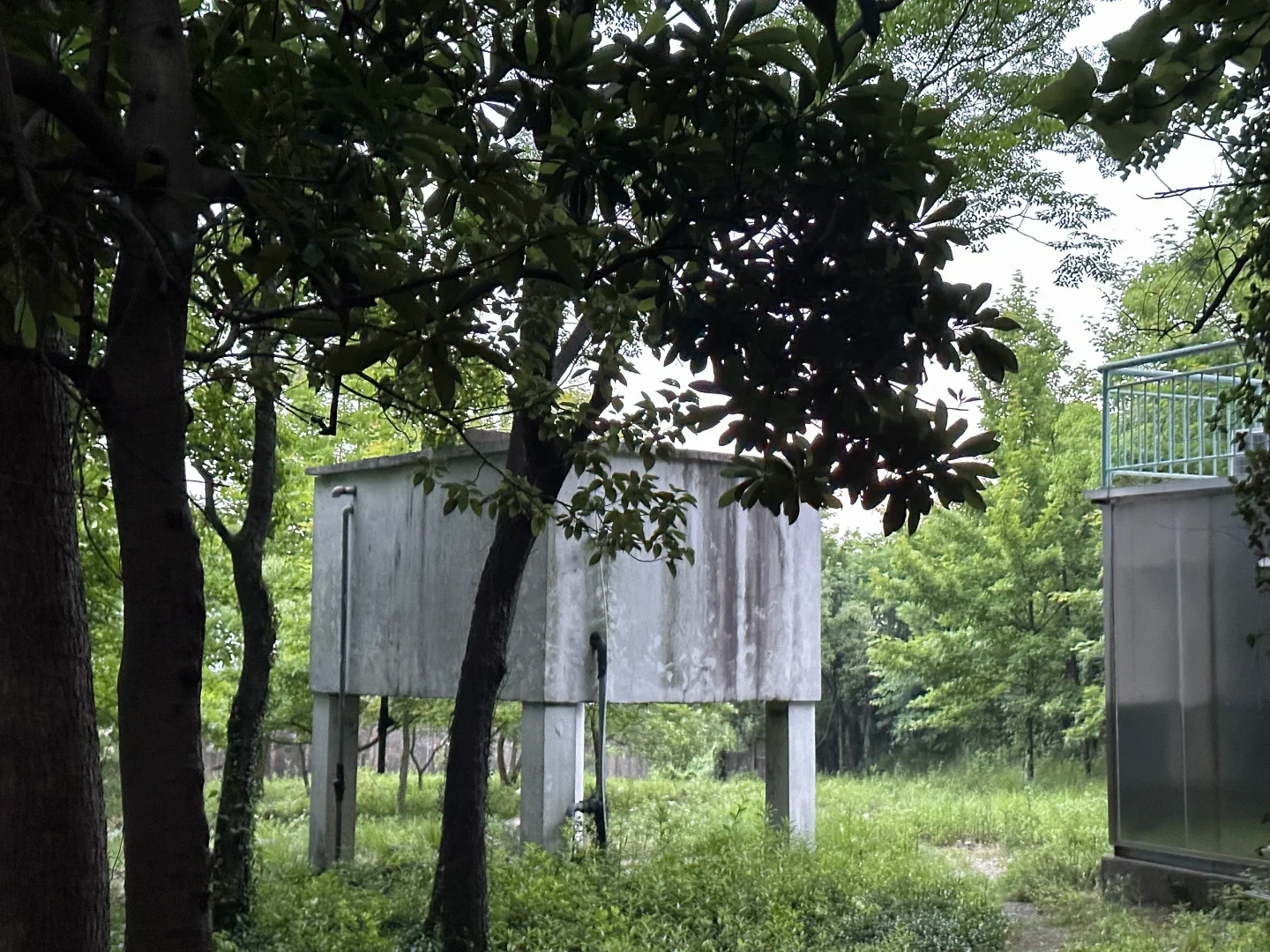 一起进山⛰️