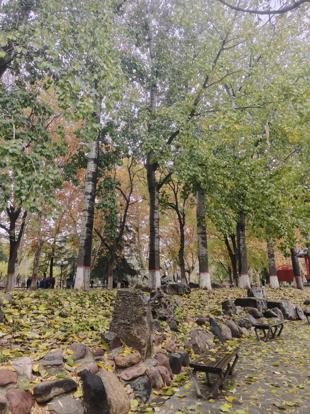 38岁记录|动了吗动了吗