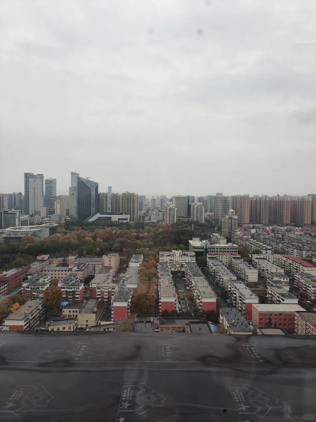 38岁记录｜动了吗动了吗