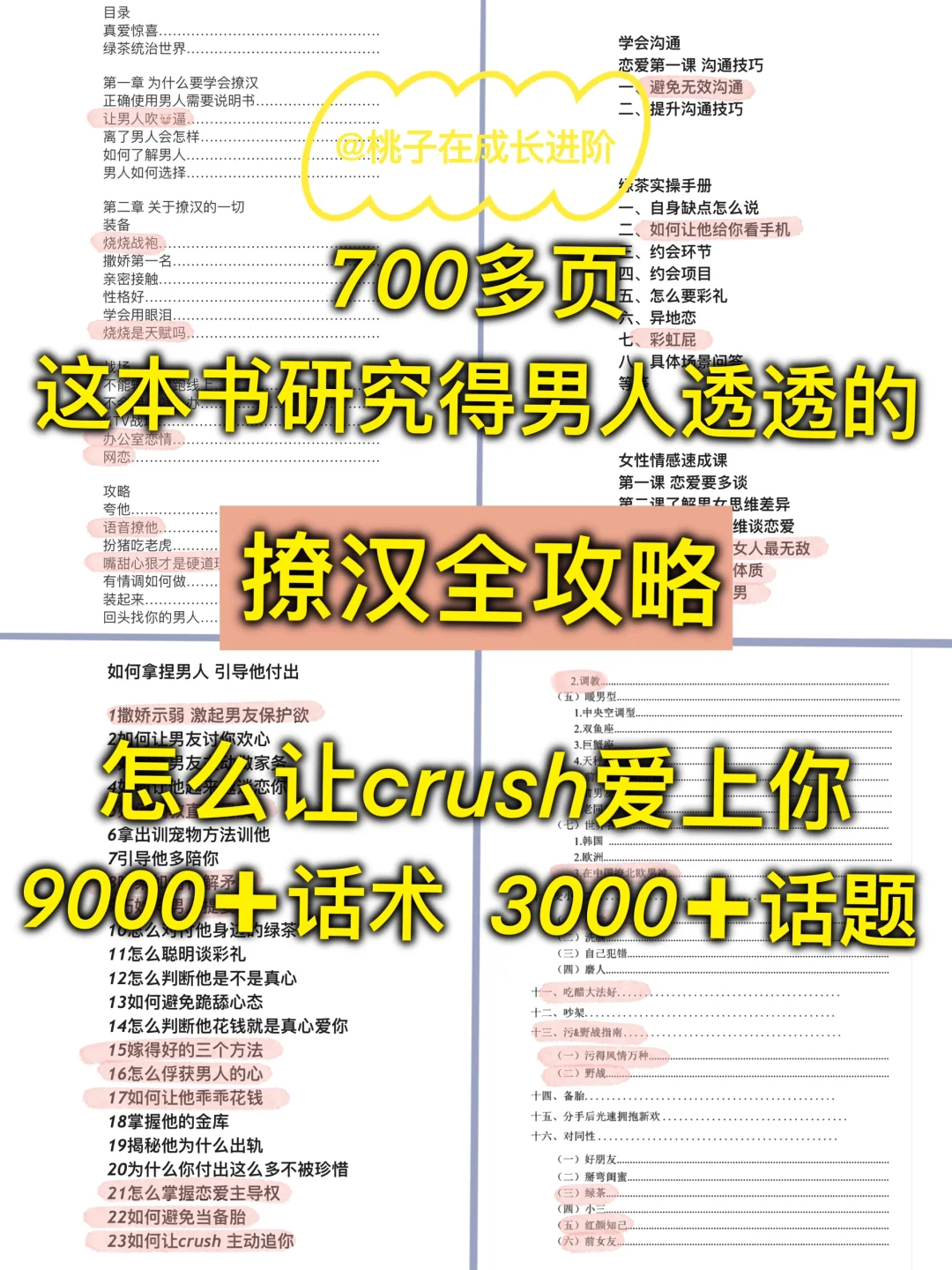 魅魔速成班：崇拜版（话术实操）